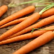 carrot